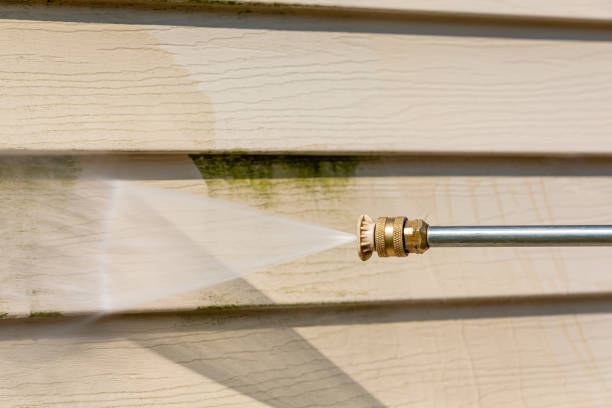 Best Deck Cleaning Services  in Frenchtown, MT