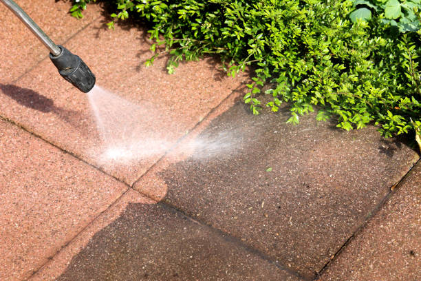 Best Pressure Washing Services for Businesses  in Frenchtown, MT